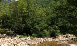 2013-07-25 12.26.34 2013-07-25 12.26.34