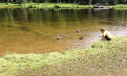 Boy-playing-with-ducks
