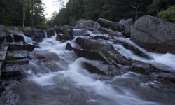 IMG_3314 IMG_3314