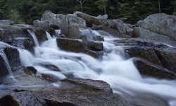 IMG_3319 IMG_3319