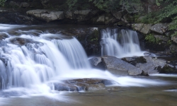 IMG_3365 IMG_3365
