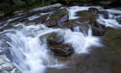 IMG_3380 IMG_3380