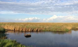 Lake Charles Louisiana Bayou