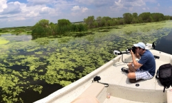 Taking a picture of a swamp in Louisiana