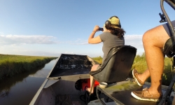 Airboat ride on Louisiana Bayou Airboat ride on Louisiana Bayou