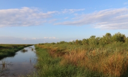 Lake Charles Bayou