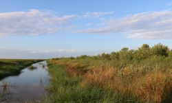 Lake Charles Bayou Lake Charles Bayou