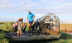 Airboat and Alligators airboat