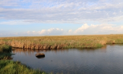 IMG_5807 IMG_5807