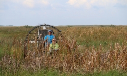 Airboat and Alligators ride Airboat and Alligators ride