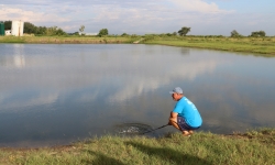 Alligator whisperer