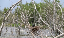 IMG_5860 IMG_5860