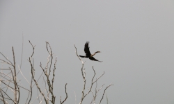 IMG_5916 IMG_5916