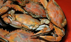 Fresh Louisiana crab Fresh Louisiana crab