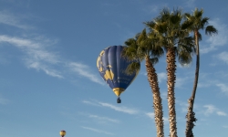 Balloons over Havasu City park