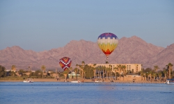 Lake Havasu Balloon Festival