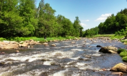 2013-06-21 12.13.52 2013-06-21 12.13.52