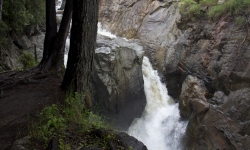 IMG_1428 IMG_1428