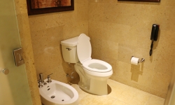 Loo and bidet at L’auberge Casino Resort Lake Charles