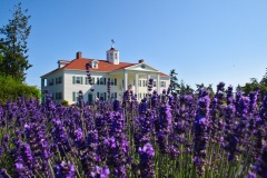 George-Washington-Inn-lavender