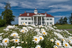 George-Washington-Inn-with-daisies George-Washington-Inn-with-daisies