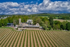 Hotel-Burg-Schwarzenstein-aerial-with-vineyard-