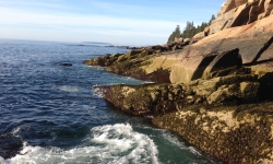 Coastline of Maine