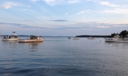 Bay of Bass Harbor