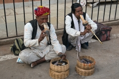 Cobra-Handlers-in-India