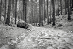 Possible-gravestone-rocks-Bohemian-Swizerland-BW