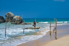 Stilted-Fisherman-in-Sri-Lanka