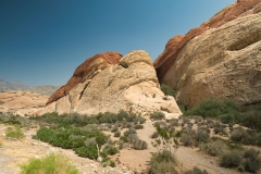 Red-Rock-23-by-Mike-Shubic Red-Rock-23-by-Mike-Shubic