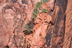 Red-Rock-aerial-straight-down-by-Mike-Shubic