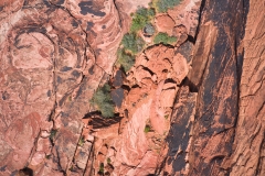 Red-Rock-aerial-straight-down-by-Mike-Shubic Red-Rock-aerial-straight-down-by-Mike-Shubic