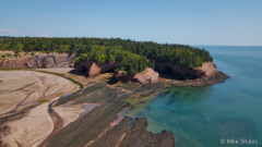 Fundy Bay in NB tide out copy