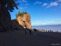 Hopewell Rocks copy