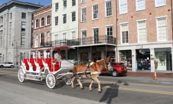 Horse drawn carriage in New Orleans Horse drawn carriage in New Orleans