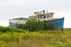 beached ship copy