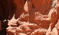 IMG_3824 IMG_3824