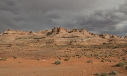 IMG_3906 IMG_3906