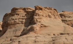 IMG_3909 IMG_3909