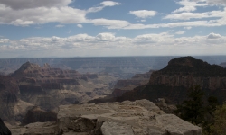 IMG_3986 IMG_3986