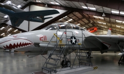IMG_8608_1 IMG_8608_1