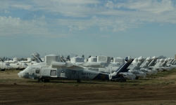 IMG_8647_1 IMG_8647_1