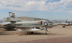 IMG_8664_1 IMG_8664_1