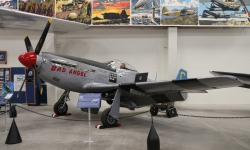 IMG_8717_1 IMG_8717_1