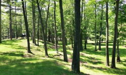 Plattsburgh Park Plattsburgh Park