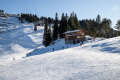 IMG_2576-copy