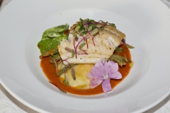 Fish-dish-in-Quebec