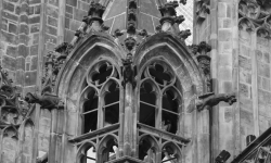 IMG_0408 copy IMG_0408 copy